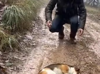 C0501007 It Cried When He Touched It — That’s When He Knew.