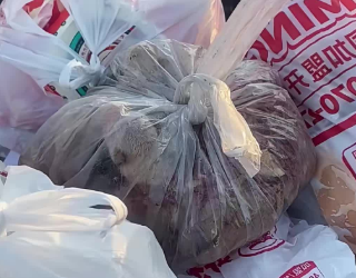 C1701021_When found eight puppies in trash can then #rescue #animals…