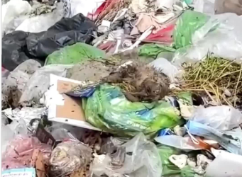 C1701028_Rescuing puppy landfill it seemed to have passed away but