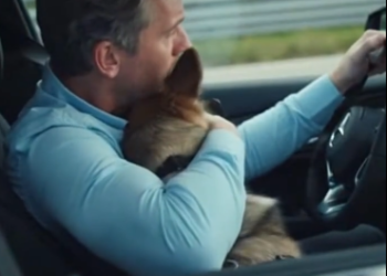 C0501009 The Dog Woke Him Up — One Second Before Impact.