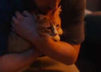 C0501010 The Cat Wouldn’t Stop — Until the Fire Was Seen