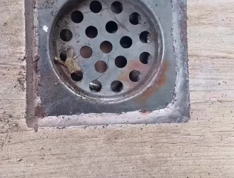 C1901025_rescued kitten trapped in drain.#kitten #cat #rescue #pet #cute…