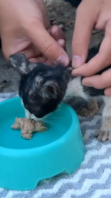 C2001003_No one expected what happened after this rescue began