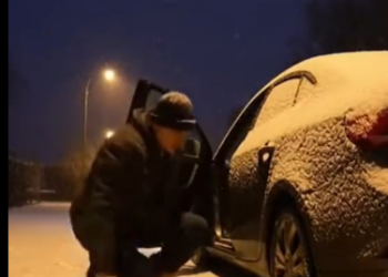 C0501014 He Was Freezing Under the Car — Until Someone Stopped.