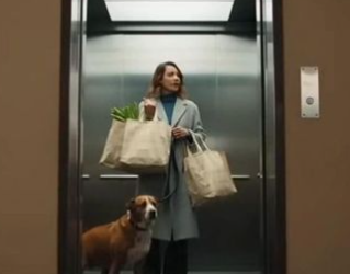 C0501015 The Dog Refused to Enter — Seconds Before the Elevator Failed.