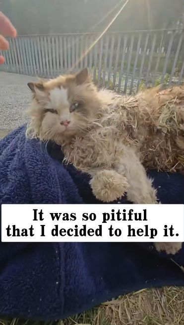 C2101004_The rescuer hesitated for one second and then this happened #CriticalMoment #Rescue