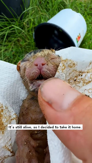 C2101005_People are still arguing about this rescue outcome #Debate #RescueVideo