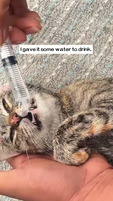 C2101008_Something went wrong during this rescue attempt #WaitForIt #RescueMission