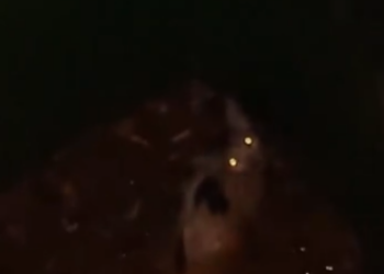 C2101010_Many scrolled back to watch this part again #LookAgain #RescueMoment