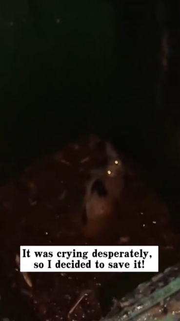 C2101010_Many scrolled back to watch this part again #LookAgain #RescueMoment