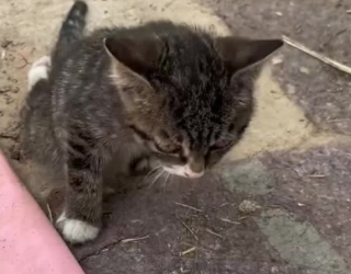 C2101011_This rescue decision split viewers into two sides #WhatDoYouThink #Rescue