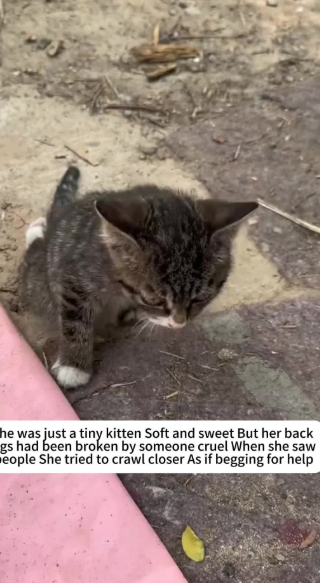 C2101011_This rescue decision split viewers into two sides #WhatDoYouThink #Rescue