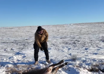 C2101017_Viewers couldn’t believe this was real footage #CaughtOnCamera #RescueMoment