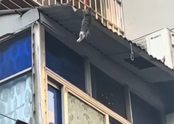 C2101018_This rescue didn’t go as planned at all #UnexpectedTurn #SaveLife