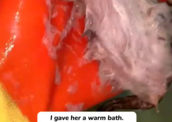 C2101020_This rescue raised a serious question for viewers #ThinkAboutIt #Rescue