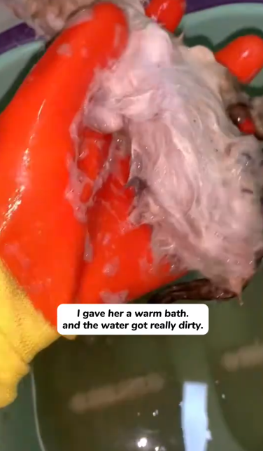 C2101020_This rescue raised a serious question for viewers #ThinkAboutIt #Rescue