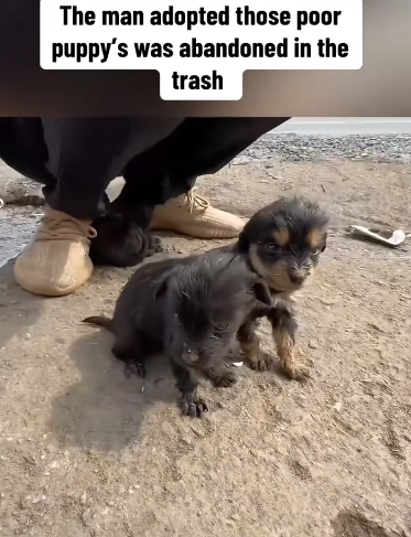 C2101023_No one expected help to arrive like this #Surprise #RescueMoment