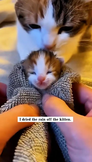 C2101025_Something unseen changed the rescue completely #LookCloser #Rescue