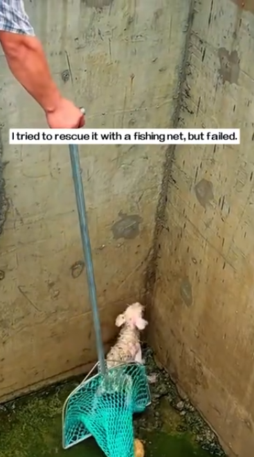 C2101027_Viewers keep replaying the final seconds #WatchAgain #RescueStory