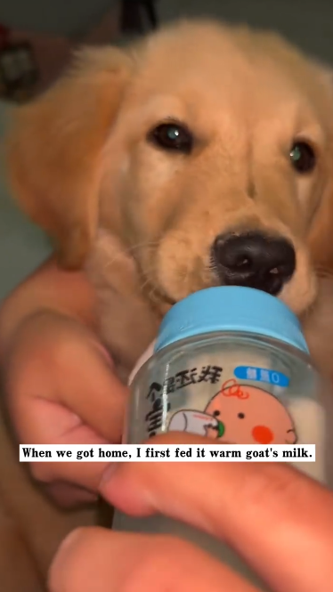 C2101028_This rescue outcome divided the comments section #Controversial #Rescue