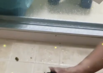 C2101029_What would you do in this rescue situation #BeHonest #SaveLife