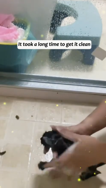 C2101029_What would you do in this rescue situation #BeHonest #SaveLife