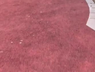 C2101030_The ending of this rescue wasn’t what anyone expected #UnexpectedEnding #RescueStory