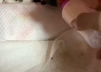 C2301001_The final scene of this rescue hit hard #Powerful #RescueStory