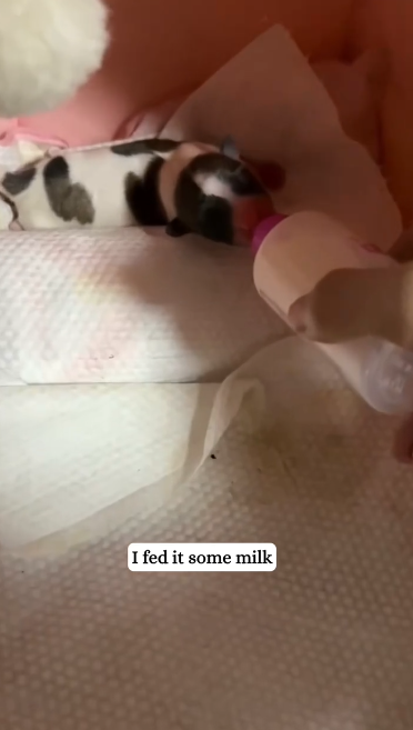 C2301001_The final scene of this rescue hit hard #Powerful #RescueStory