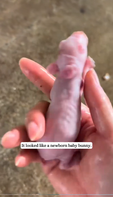 C2301003_No one realized the danger until this moment #WaitForIt #SaveLife