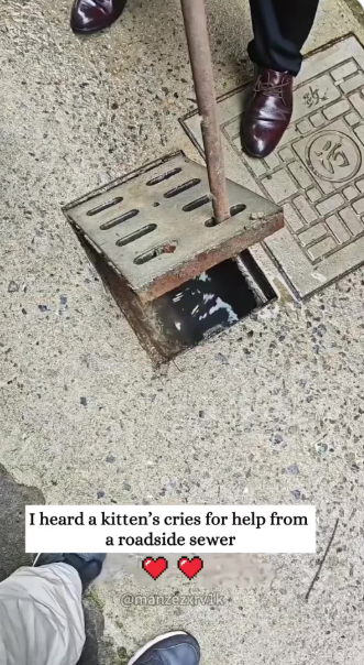 C2301005_Something unexpected appeared during the rescue #Unbelievable #RescueMoment