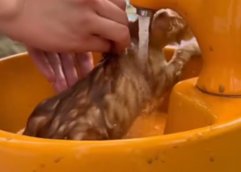 C2301006_This rescue changed direction in an instant #SuddenTurn #SaveLives