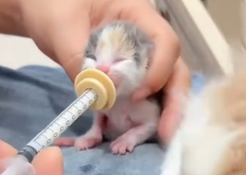 C2301016_One small action made a huge difference here #LittleThings #SaveLife