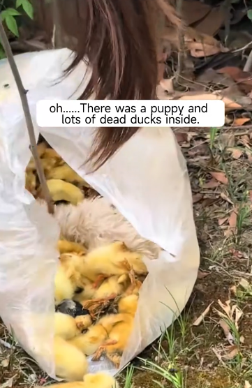 C2301018_Something unseen almost ruined this rescue #HiddenRisk #SaveLives