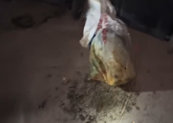 C2301020_This rescue footage is hard to forget #Emotional #SaveLife