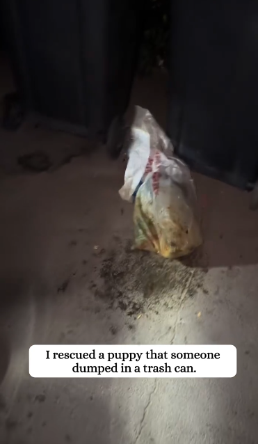 C2301020_This rescue footage is hard to forget #Emotional #SaveLife