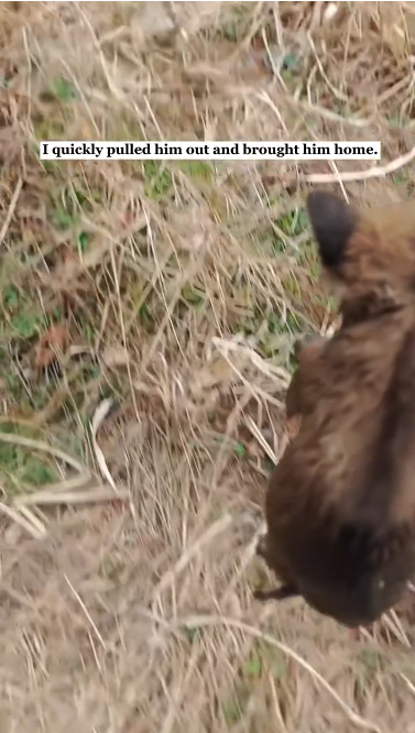 C2301021_No one expected this reaction during the rescue #Surprised #RescueStory