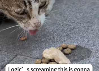 C2301022_This rescue took a turn no one predicted #PlotTwist #SaveLives