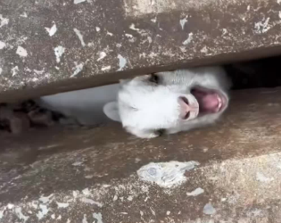 C2301024_One second changed the outcome completely #Timing #SaveLife