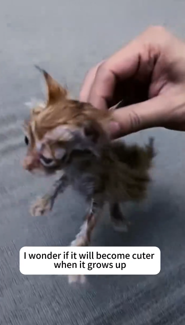 C2301025_This rescue moment divided the comments #Controversial #Rescue