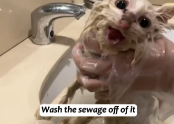 C2301026_Something almost stopped this rescue midway #CriticalMoment #SaveLives