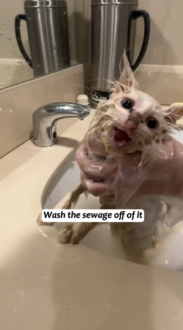 C2301026_Something almost stopped this rescue midway #CriticalMoment #SaveLives