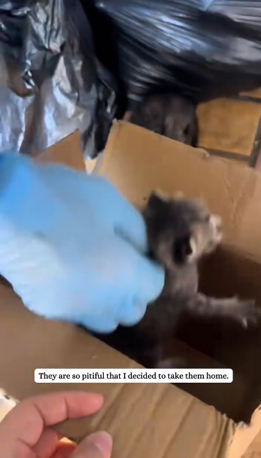 C2301028_This rescue proves timing is everything #RightTime #SaveLife