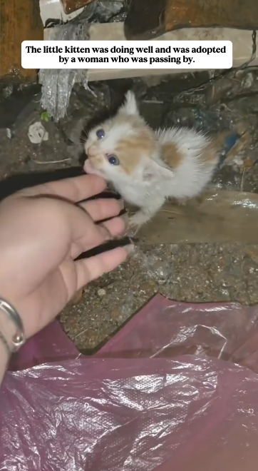 C2301030_This rescue left everyone thinking afterward #ThinkAboutIt #SaveLives