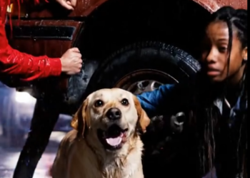 C0301009_The situation collapsed before any help could arrive